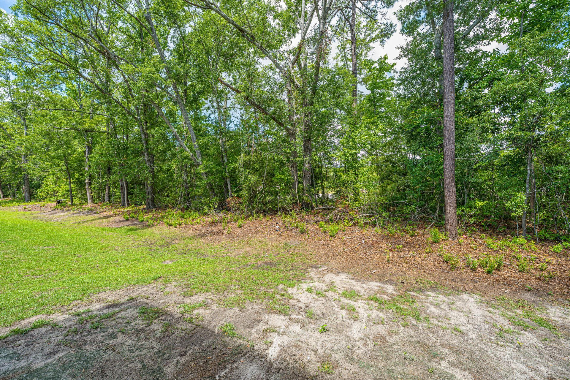 217 Alston Street Photo 19