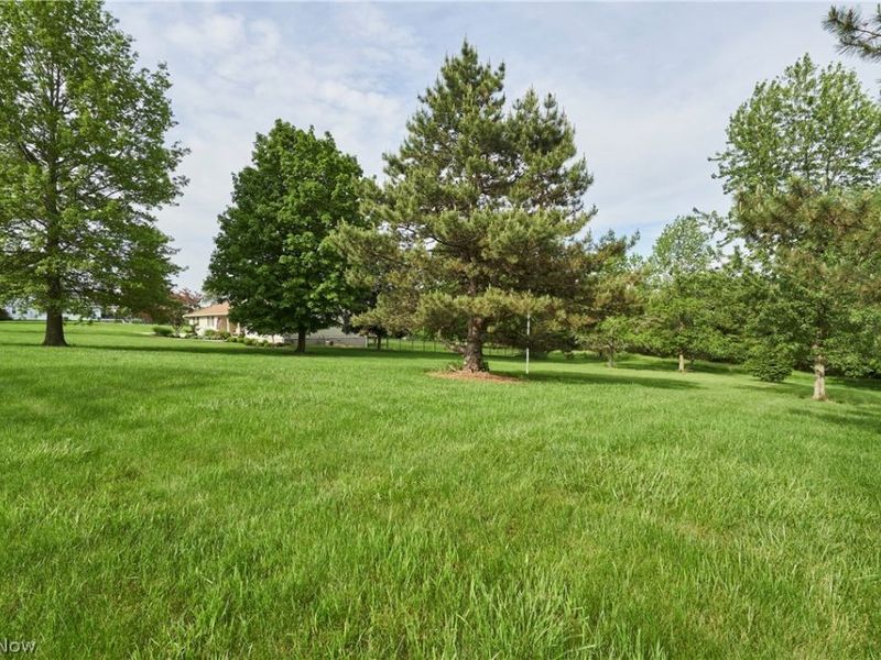 7191 Ryan Road, Medina, OH 44256 Photo 28