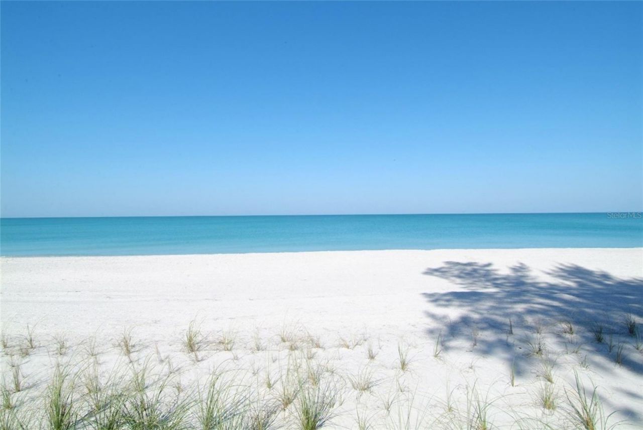 411 Burns Court, Sarasota, FL 34236 Photo
