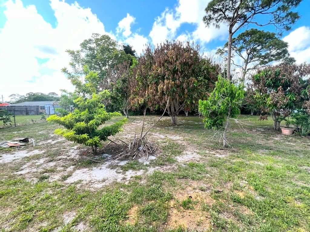 311 SW Homeland Road, Port Saint Lucie, FL 34953 Photo
