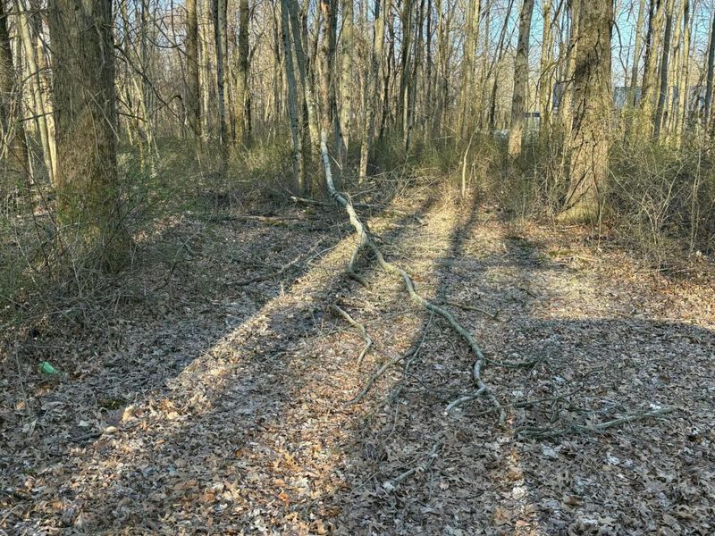 Baltimore, OH 43105 Photo 1