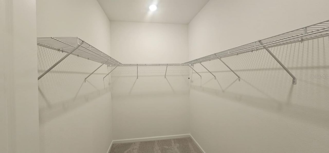 2557 Rider Rain Lane, Apopka, FL 32703 Photo