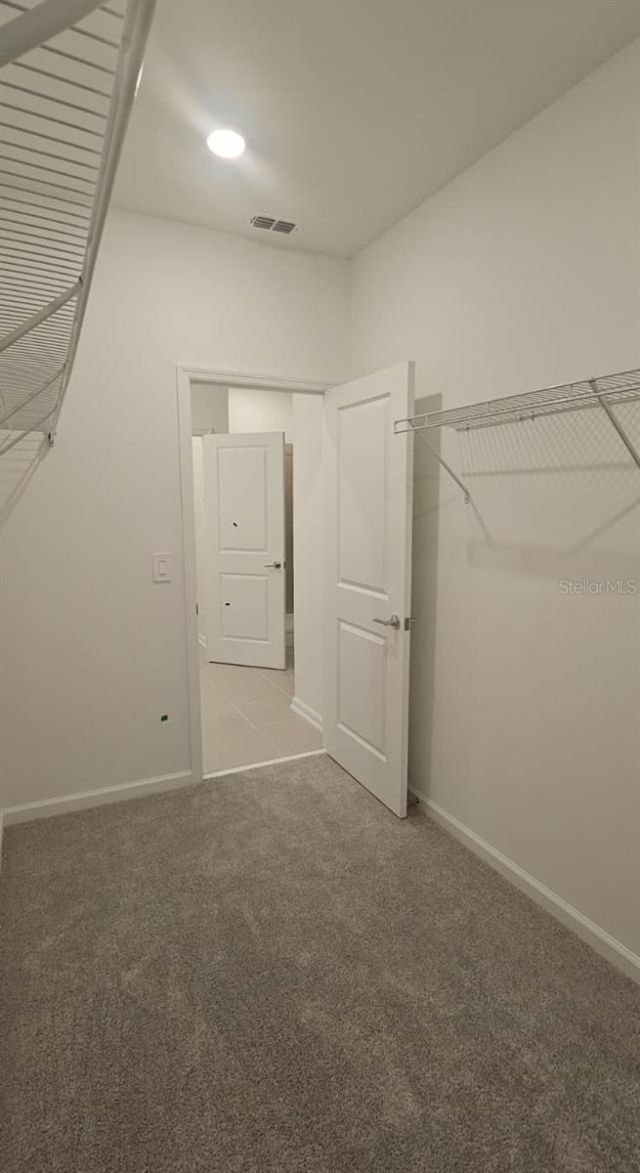 2557 Rider Rain Lane, Apopka, FL 32703 Photo
