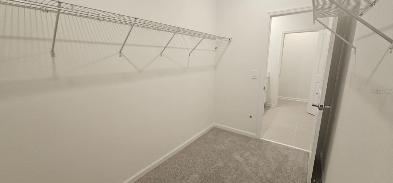 2557 Rider Rain Lane, Apopka, FL 32703 Photo