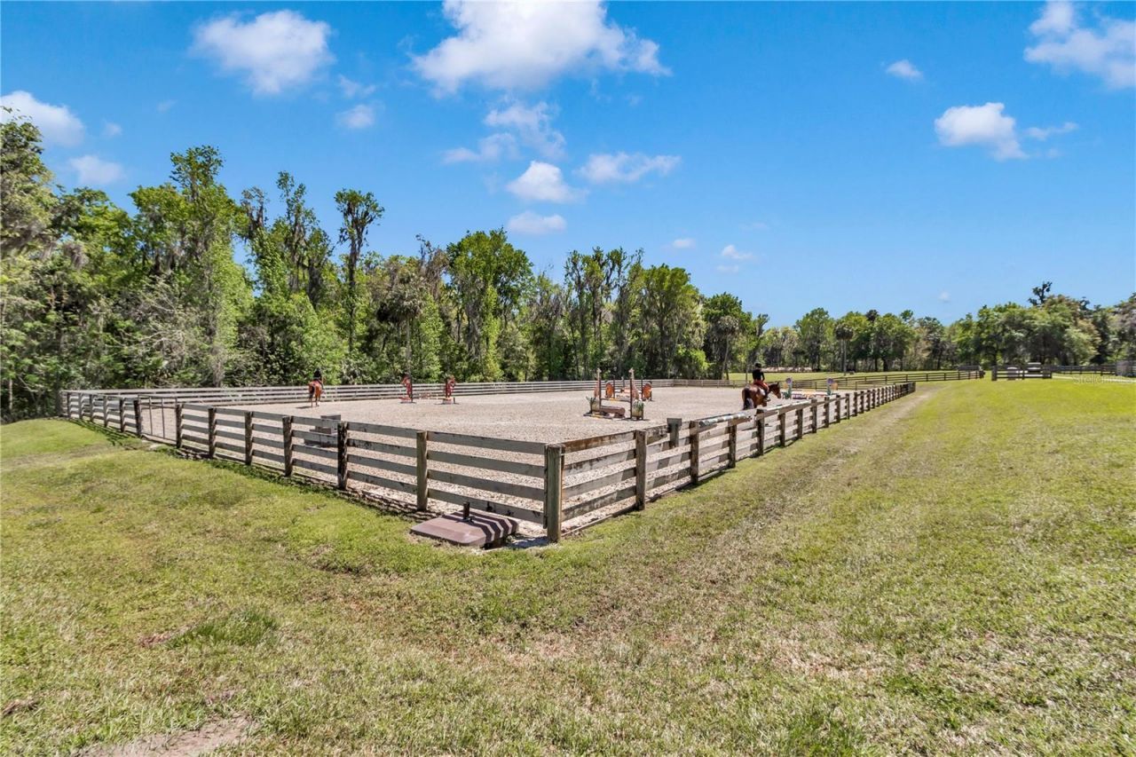 7000 NW Hwy 320, Micanopy, FL 32667 Photo
