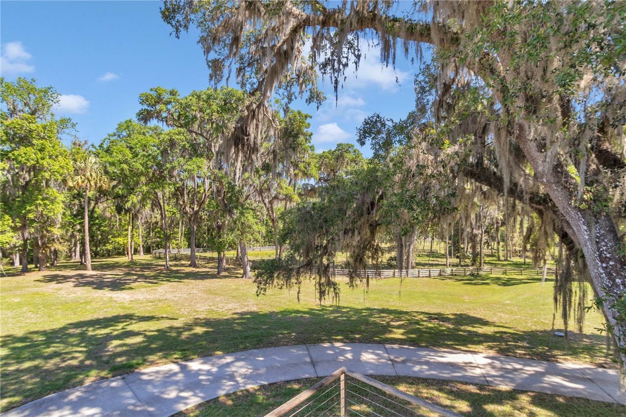 7000 NW Hwy 320, Micanopy, FL 32667 Photo