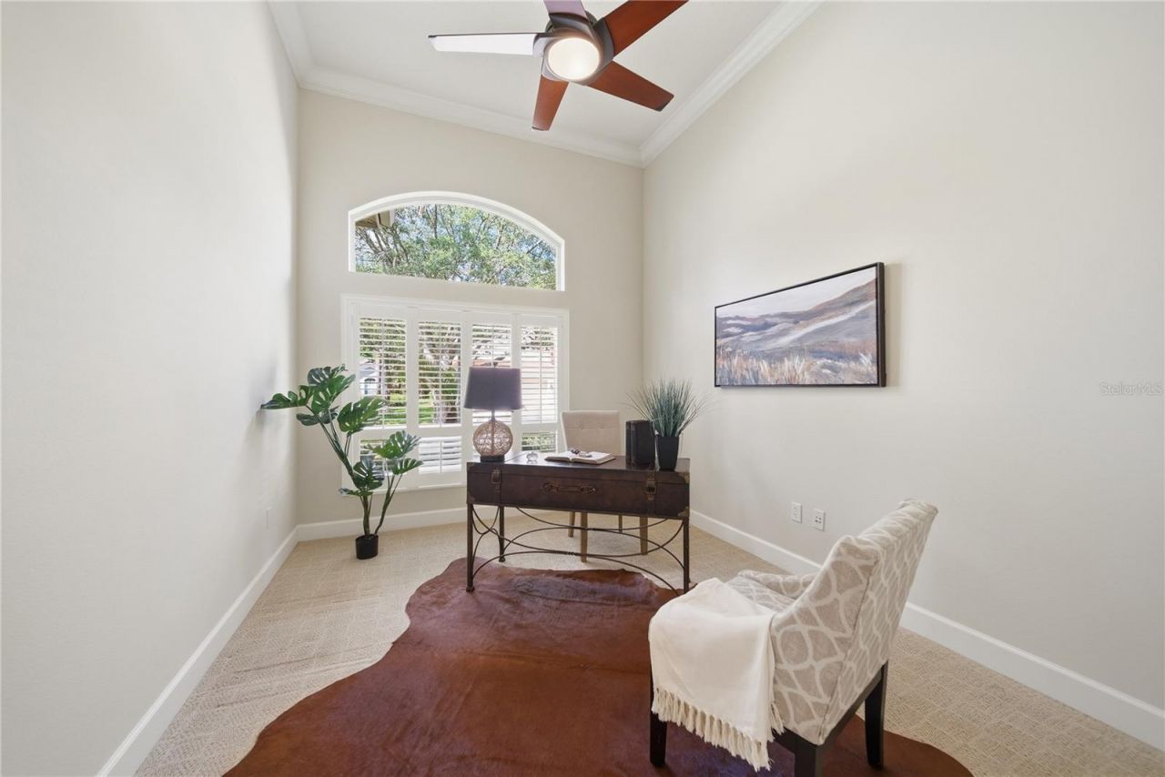 17210 Broadoak Drive, Tampa, FL 33647 Photo