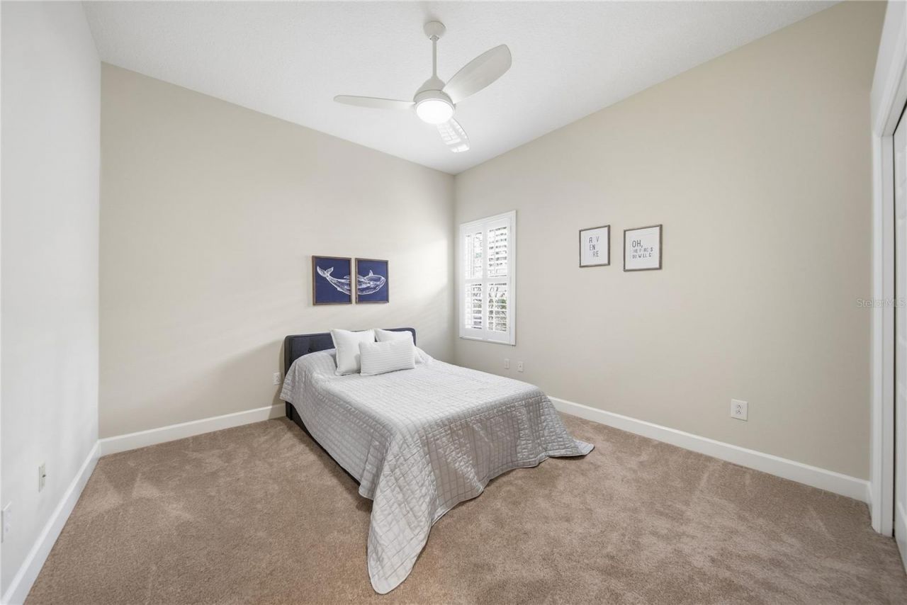 17210 Broadoak Drive, Tampa, FL 33647 Photo