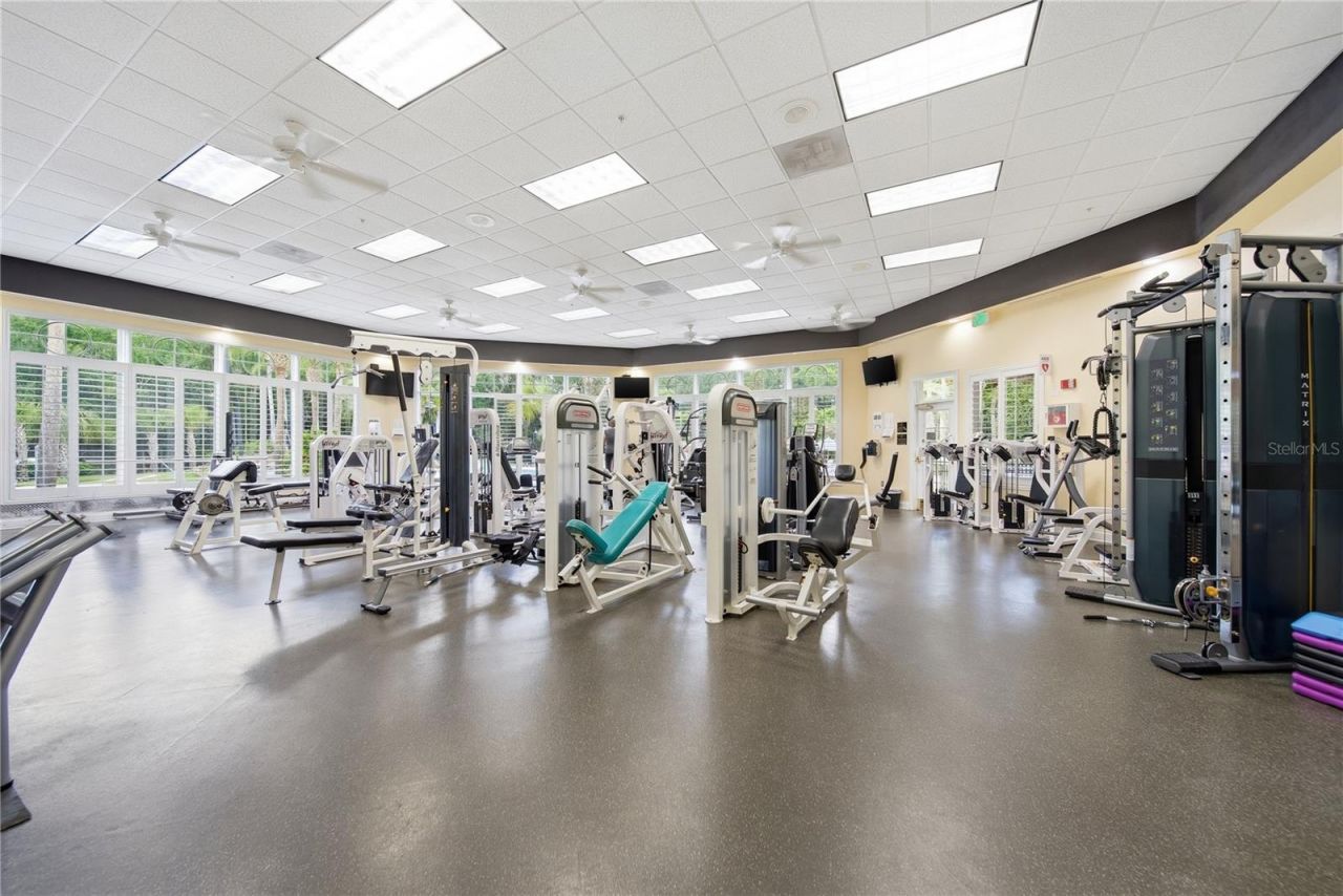 17210 Broadoak Drive, Tampa, FL 33647 Photo