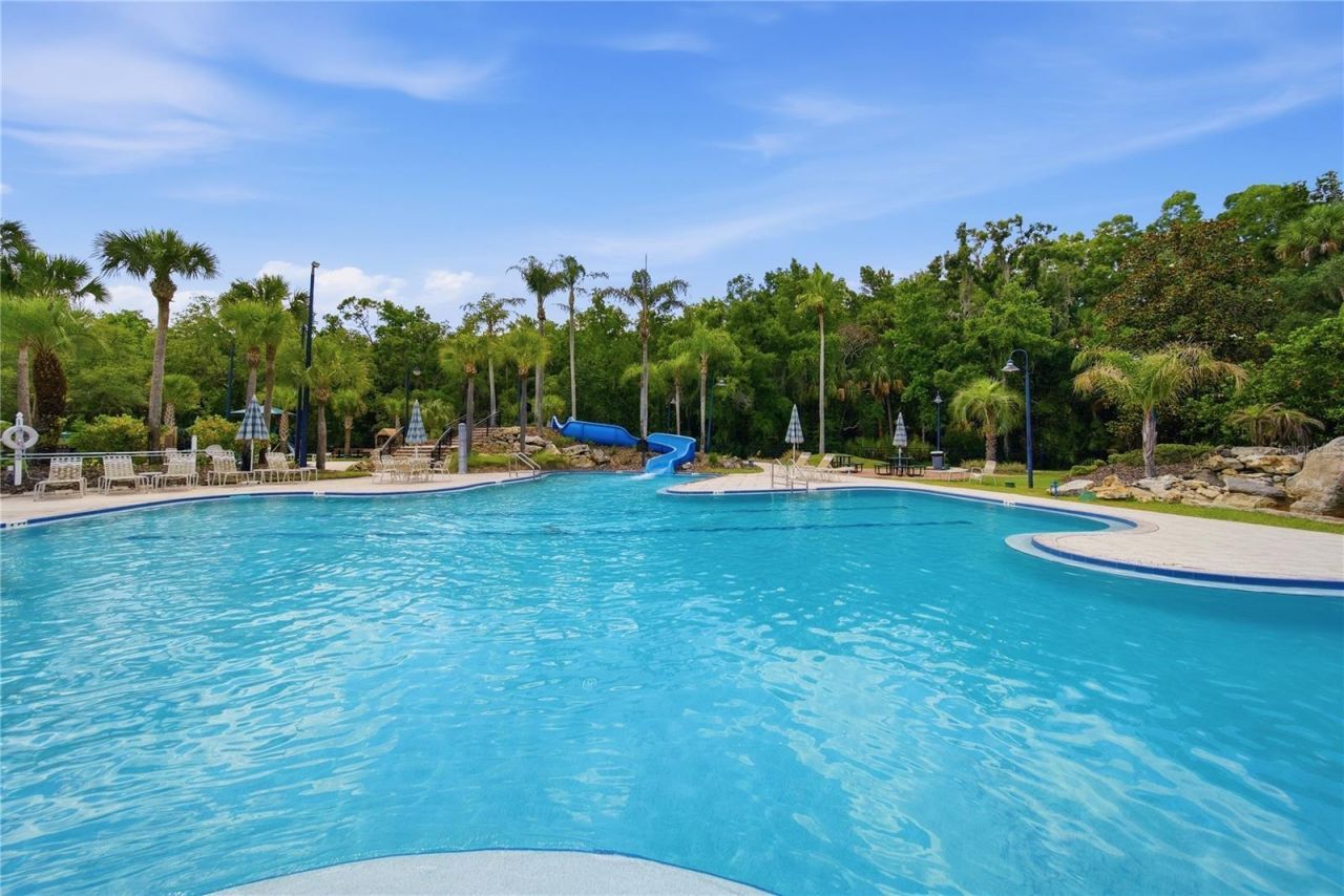 17210 Broadoak Drive, Tampa, FL 33647 Photo
