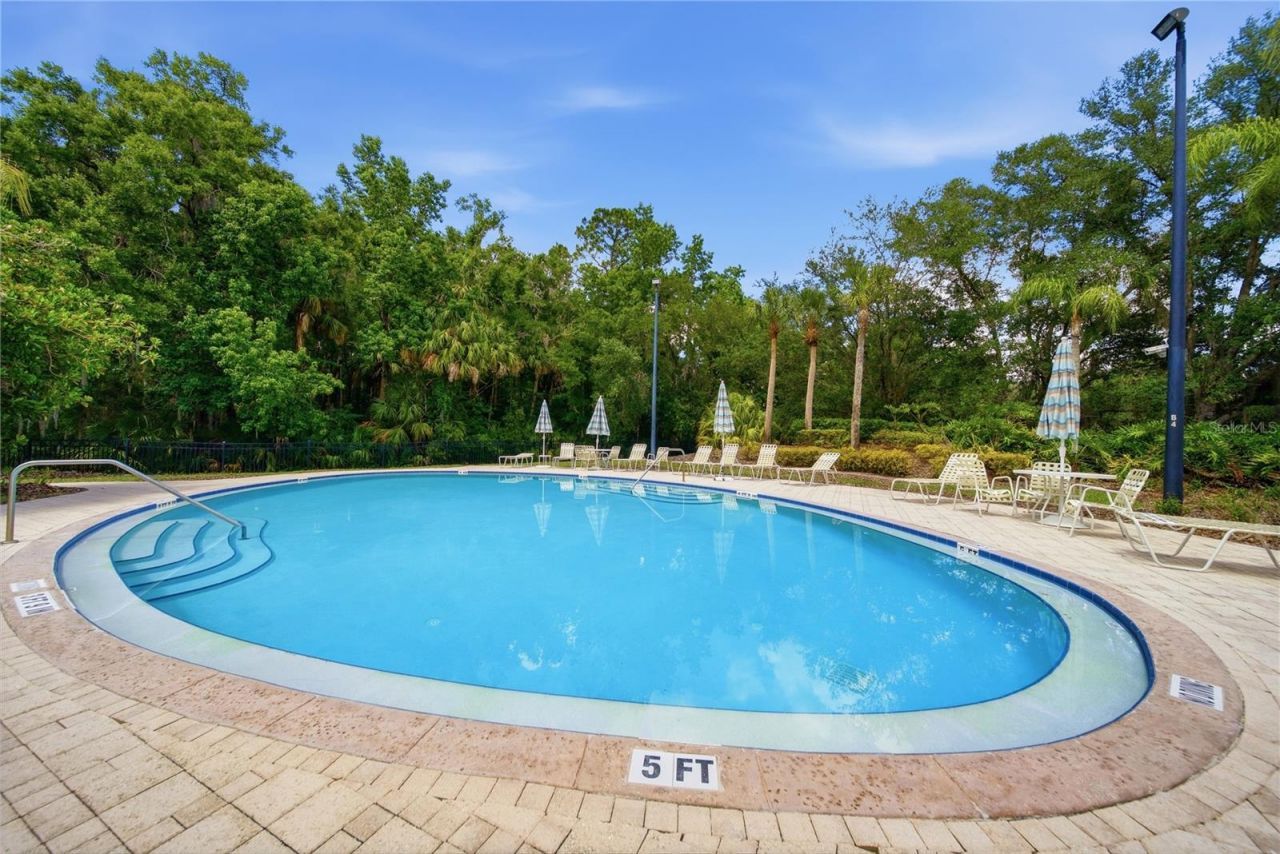 17210 Broadoak Drive, Tampa, FL 33647 Photo