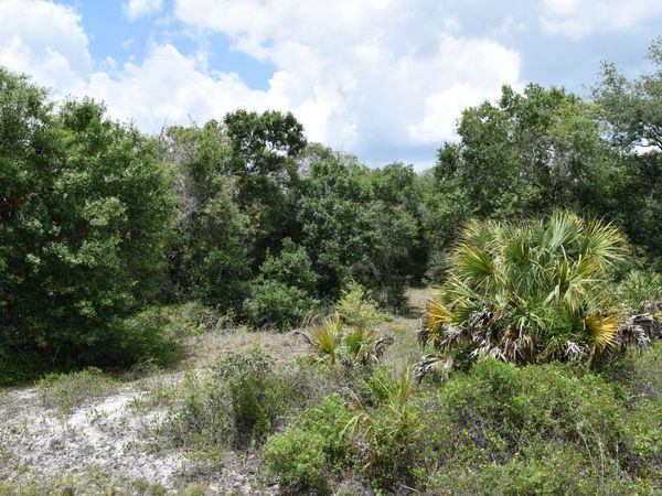 17119 NW 276th Street, Okeechobee, FL 34972