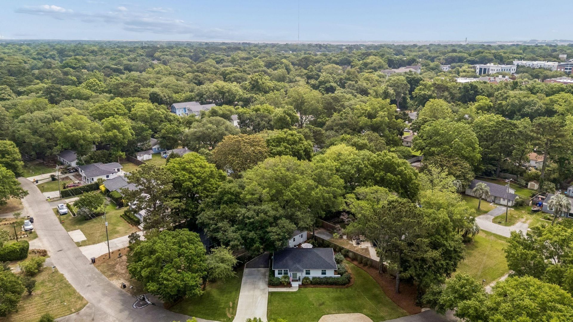 4 Ellen Avenue Photo 29