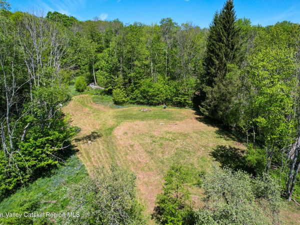 361 Elk Creek Road, Fleischmanns, NY 12430