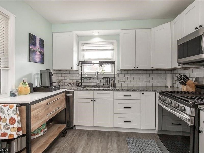 25151 Zeman Avenue , Euclid, OH 44132 Photo 8