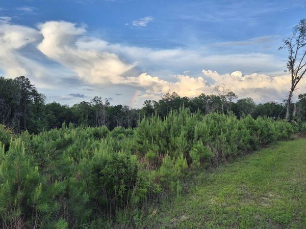 0 Brooklyn Road, Evergreen, AL 36401