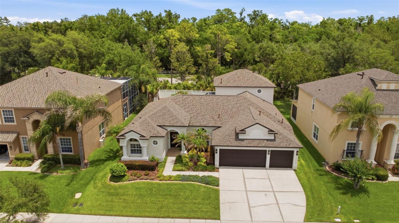 27309 Fordham Drive, Wesley Chapel, FL 33544 Photo