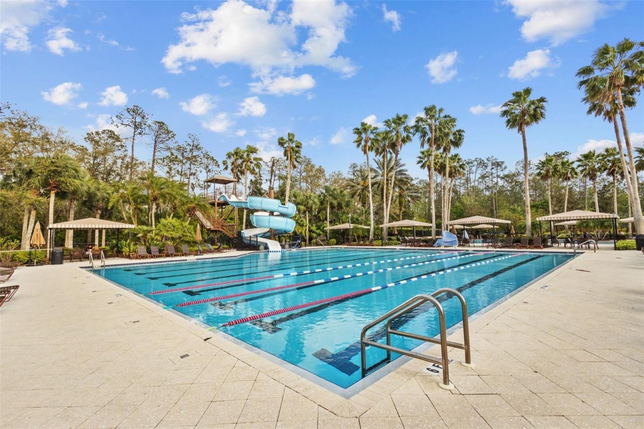 27309 Fordham Drive, Wesley Chapel, FL 33544 Photo