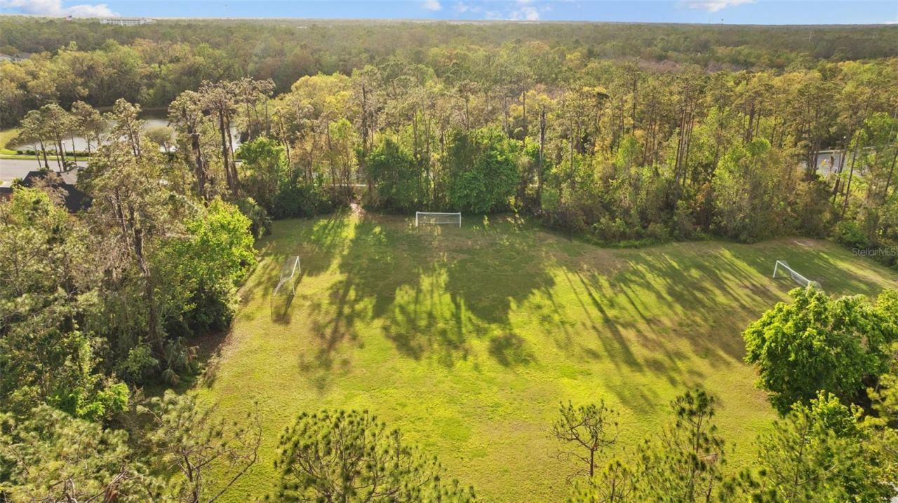 27309 Fordham Drive, Wesley Chapel, FL 33544 Photo