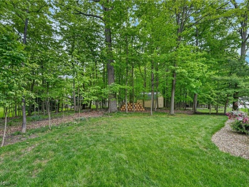 1137 Sturbridge Drive, Medina, OH 44256 Photo 11