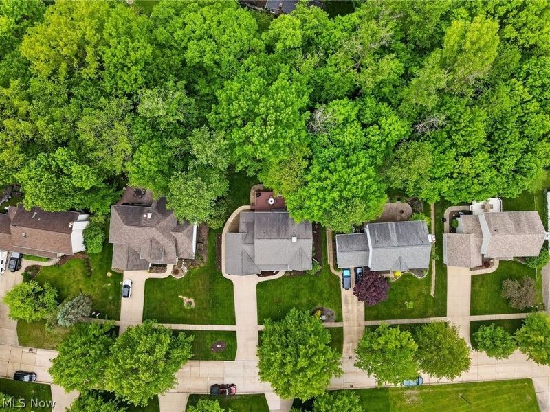 1137 Sturbridge Drive, Medina, OH 44256 Photo 2