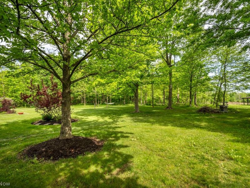 8925 Kennard Road , Lodi, OH 44254 Photo 46