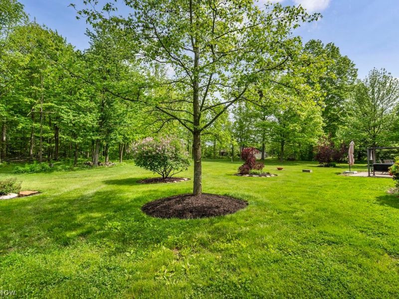 8925 Kennard Road , Lodi, OH 44254 Photo 48