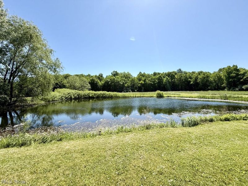 28509 Hawley Road , Sullivan, OH 44880 Photo 2