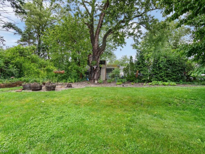 Canton, OH 44709 Photo 26