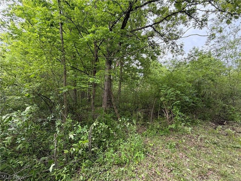 0 Dayton Road , Madison, OH 44057 Photo 11
