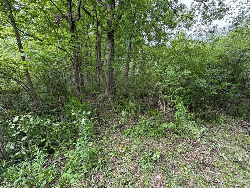 0 Dayton Road , Madison, OH 44057 Photo 3