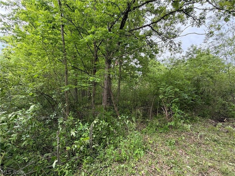 0 Dayton Road , Madison, OH 44057 Photo 6