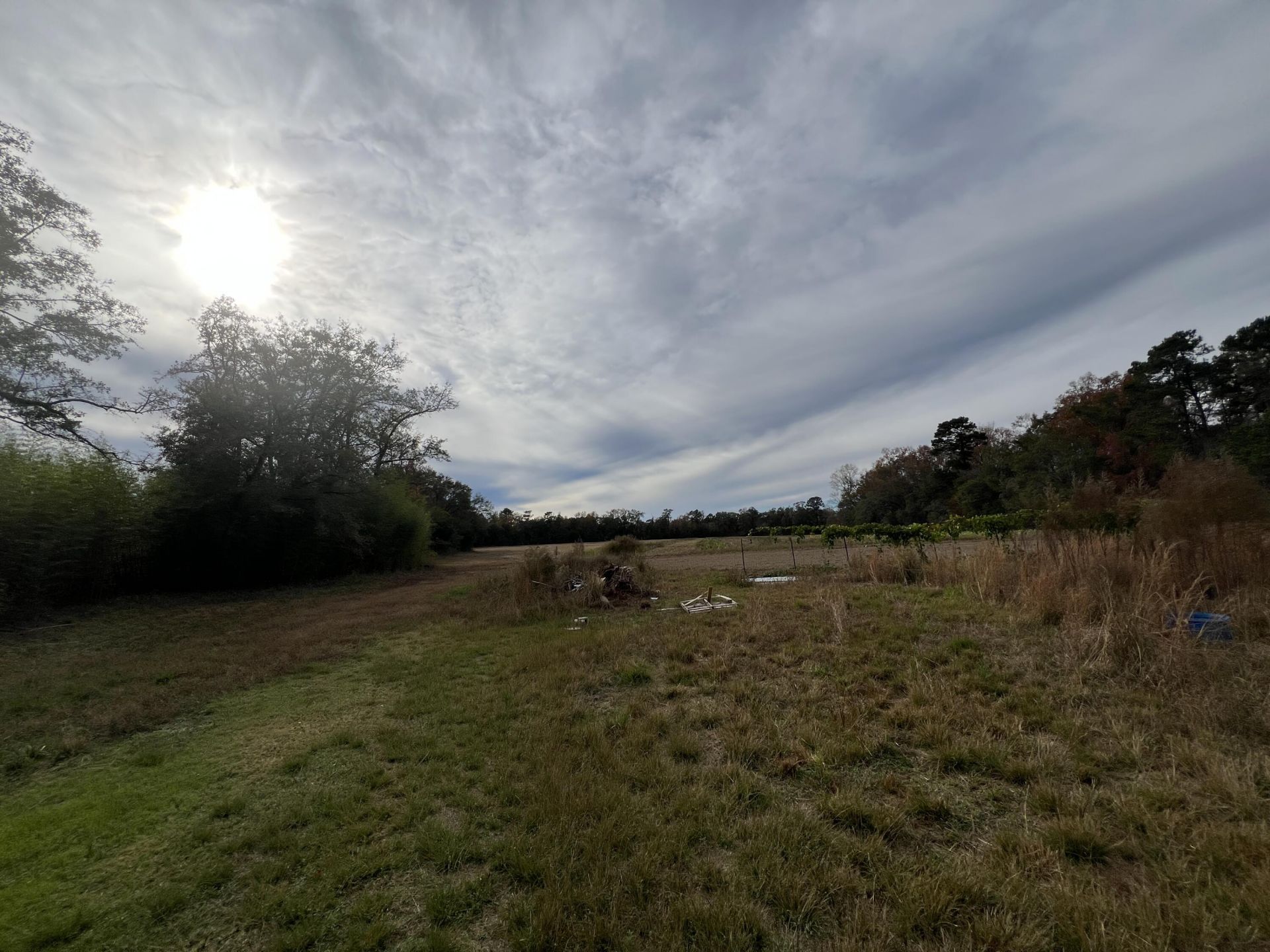 121 Old Spell Road  Photo 8