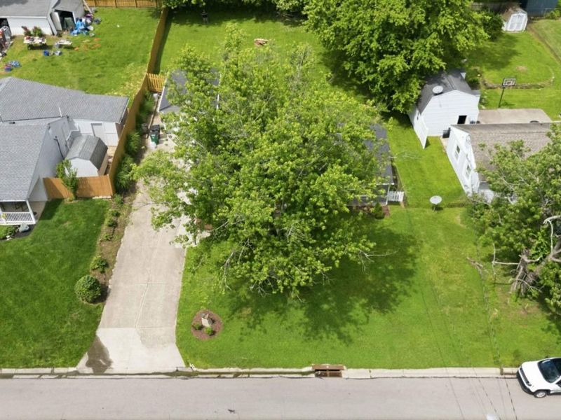 918 Bellwood Drive, Loveland, OH 45140 Photo 39