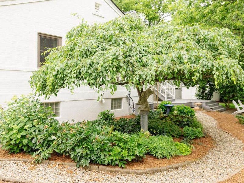 317 Given Road, Terrace Park, OH 45174 Photo 45