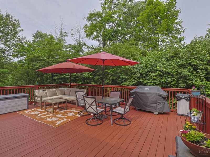 297 Ritchie Avenue, Wyoming, OH 45215 Photo 51