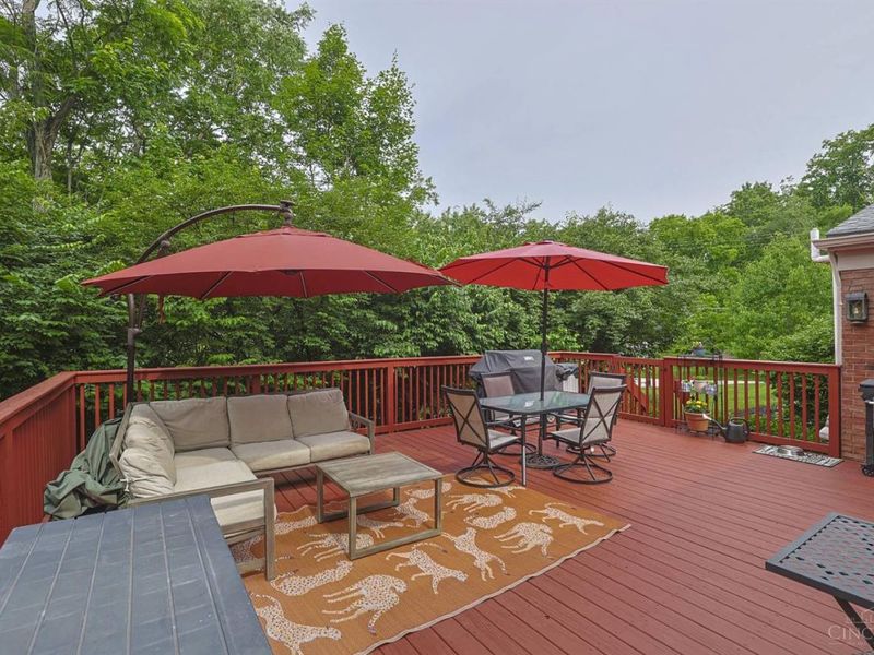 297 Ritchie Avenue, Wyoming, OH 45215 Photo 52