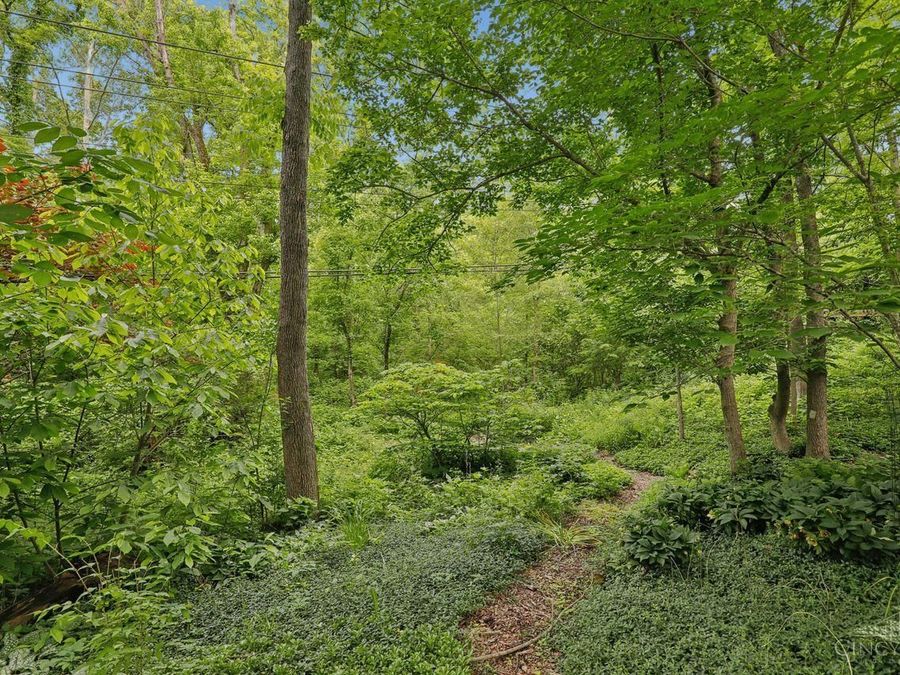 Property Image 58