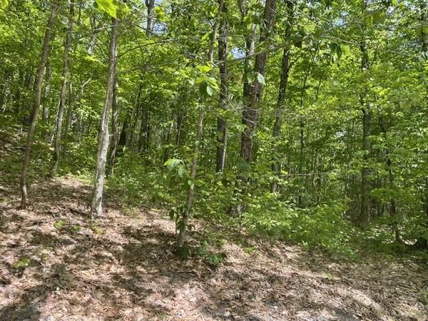 0 Edes Falls Road, Harrison, ME 04040