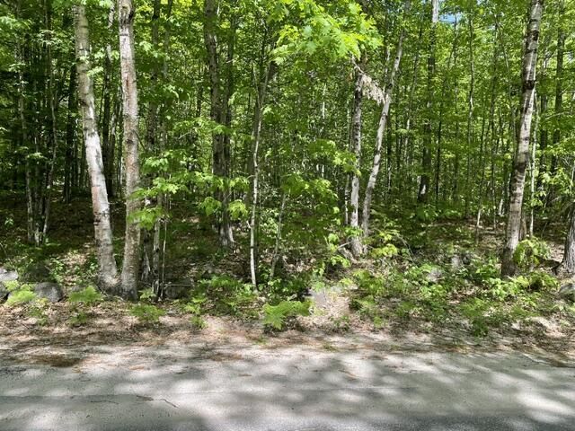 0 Carsley Road, Harrison, ME 04040 Main Photo