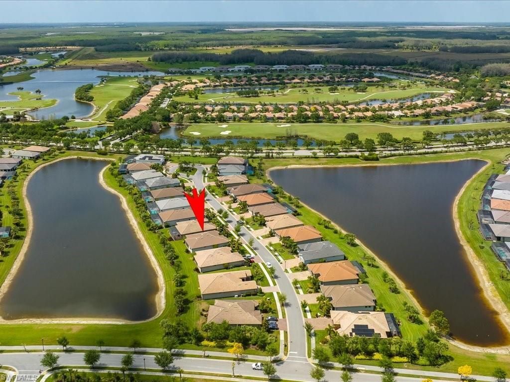 5874 Champion Ln, Ave Maria, FL 34142 Photo