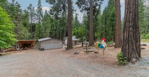 26742 High Trees Dr, Pioneer, CA 95666 Photo