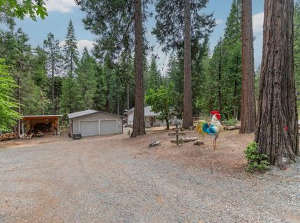 26742 High Trees Dr, Pioneer, CA 95666 Photo