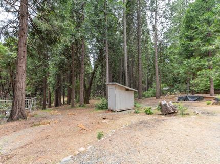 26742 High Trees Dr, Pioneer, CA 95666 Photo