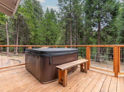 26742 High Trees Dr, Pioneer, CA 95666 Photo