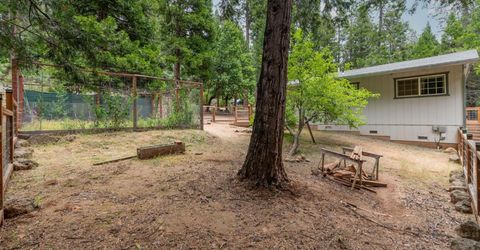 26742 High Trees Dr, Pioneer, CA 95666 Photo