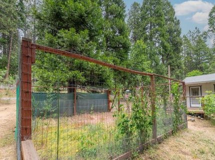 26742 High Trees Dr, Pioneer, CA 95666 Photo