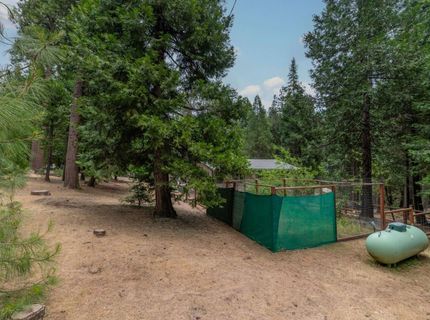 26742 High Trees Dr, Pioneer, CA 95666 Photo