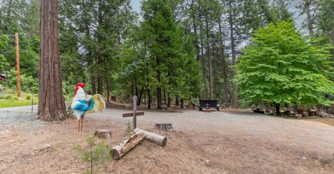 26742 High Trees Dr, Pioneer, CA 95666 Photo