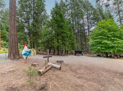 26742 High Trees Dr, Pioneer, CA 95666 Photo